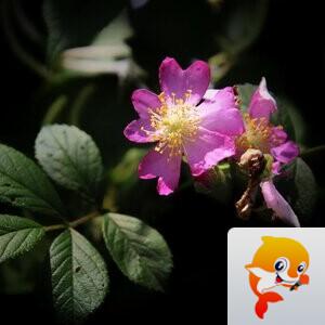 曾经🎤V娱热点