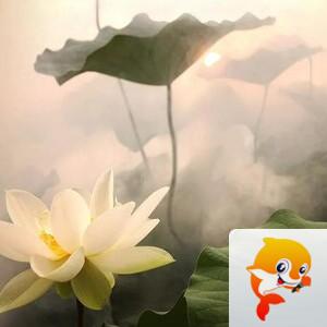 曾经🎤V娱热点