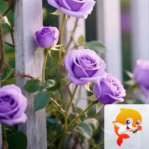 小浅🎤V娱热点