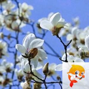 小浅🎤V娱热点