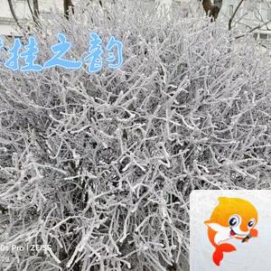 雪儿🎤V娱热点