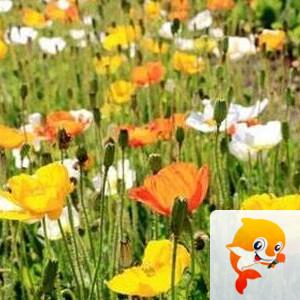 曾经🎤V娱热点