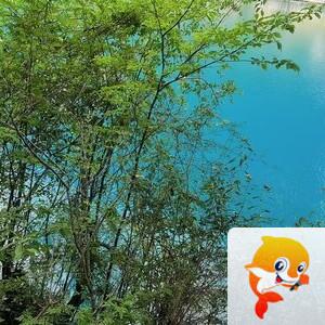 雪儿🎤V娱热点