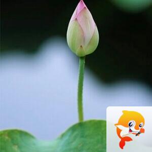 小浅🎤V娱热点