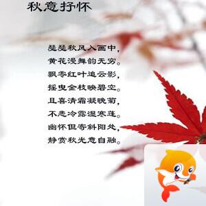 落雪🎤V娱热点