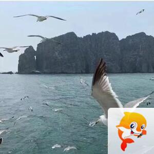 小浅🎤V娱热点