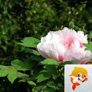 曾经🎤V娱热点