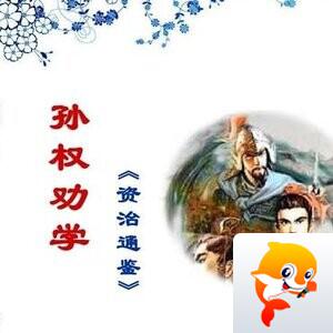 沧海🐡 🍸豪族国学精英