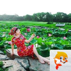 采菊东篱下【兰亭雅韵】