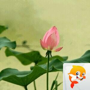 💞💎昭君出塞💎💞總創