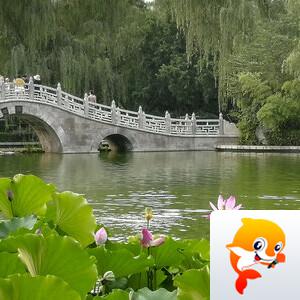 往事随风  【动画人生】