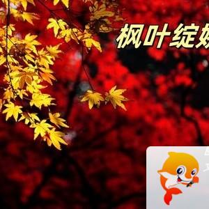 小浅🎤V娱热点