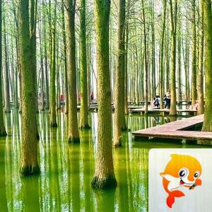 赫尔【美摄视界】