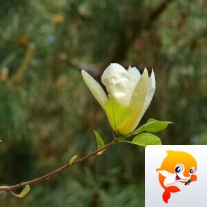 北京黄爷【美摄视界】