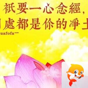 安于清净素雅