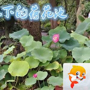 雪儿🎤V娱热点