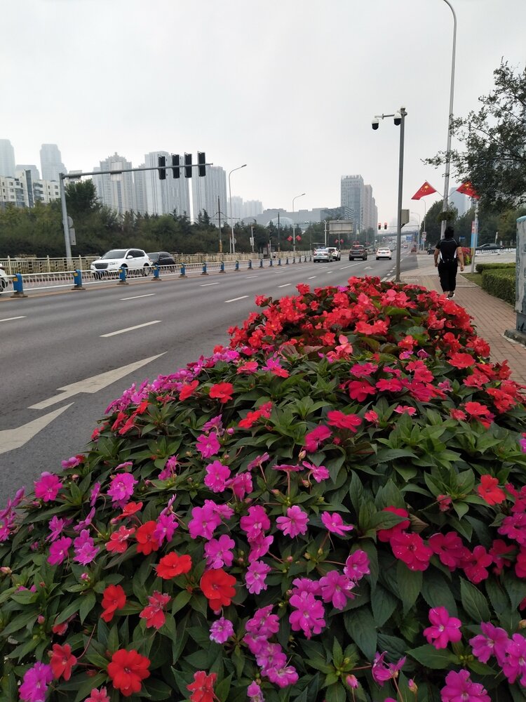 儿子翟家骏和法学院院长申卫星,导师陈新宇,同学寥莹,杨同宇合写的