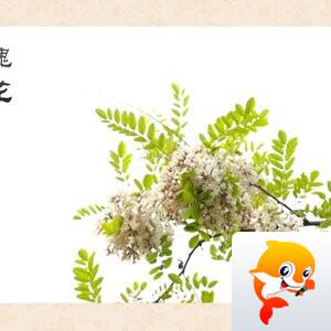 秋叶【美摄视界】