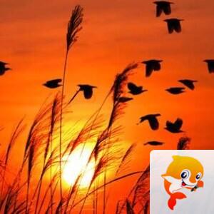 曾经🎤V娱热点