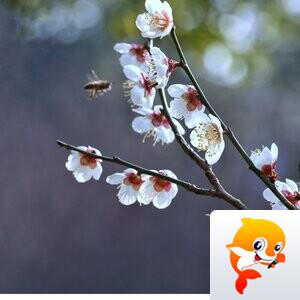 蜀夫【美摄视界】