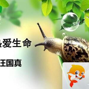 🍀温暖如初🍀