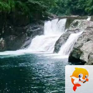 曾经🎤V娱热点