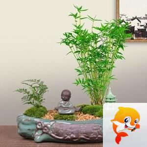 雪儿🎤V娱热点