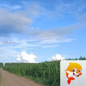 海燕🎤V娱热点