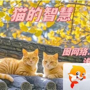 小浅🎤V娱热点