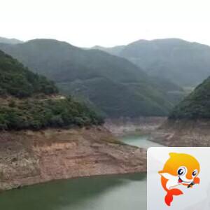 曾经🎤V娱热点