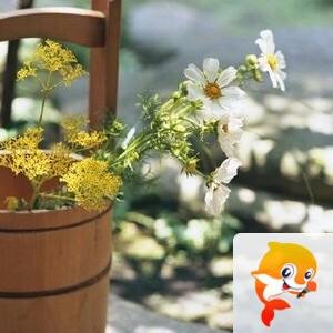 曾经🎤V娱热点