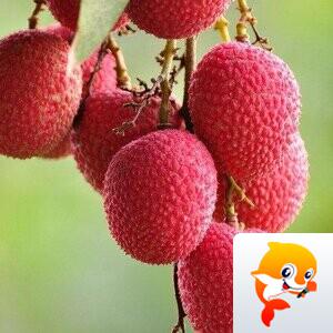 宅在夏季