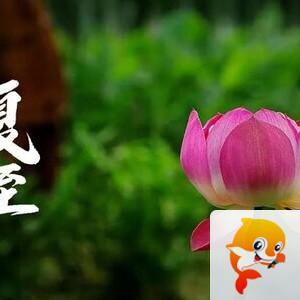 雪儿🎤V娱热点