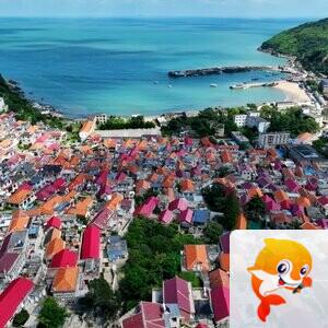 🍁雪儿（爱君）🎤☘️