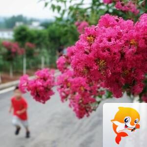 小浅🎤V娱热点