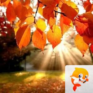 雪儿🎤V娱热点