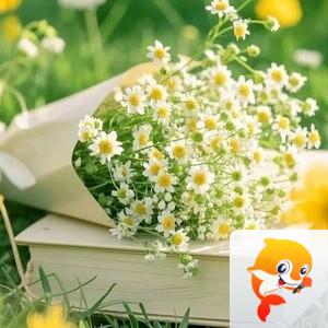 小浅🎤V娱热点