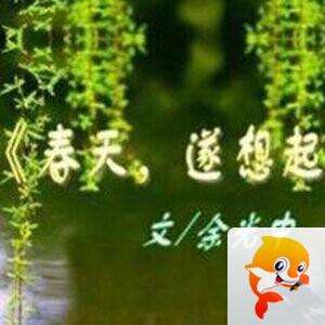 一叶小舟