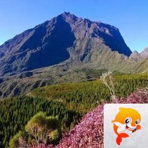 最美声音