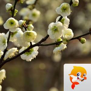 曾经🎤V娱热点