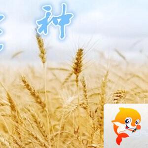 雪儿🎤V娱热点