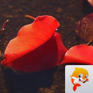 曾经🎤V娱热点