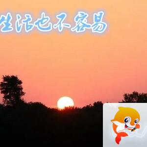 雪儿🎤V娱热点