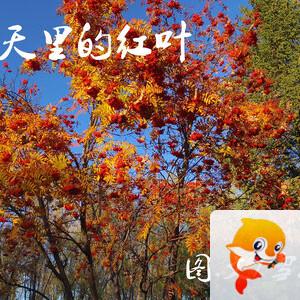 雪儿🎤V娱热点