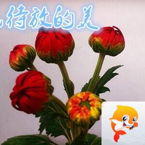 雪儿🎤V娱热点