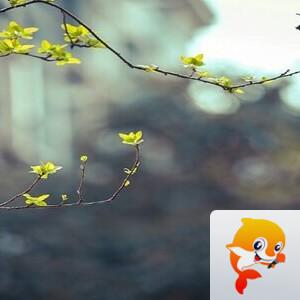 曾经🎤V娱热点