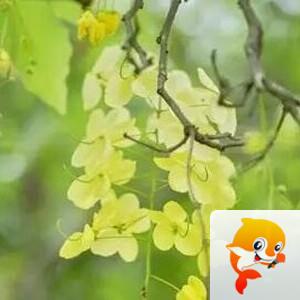 曾经🎤V娱热点