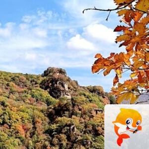 雪儿🎤V娱热点