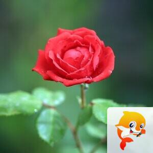 朗日清风【美摄视界】