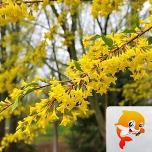 小浅🎤V娱热点